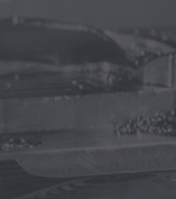 bg2